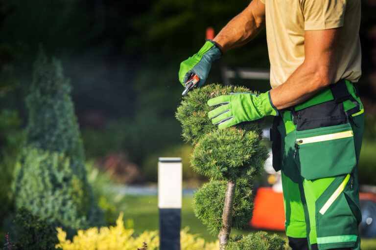 Garden Maintenance