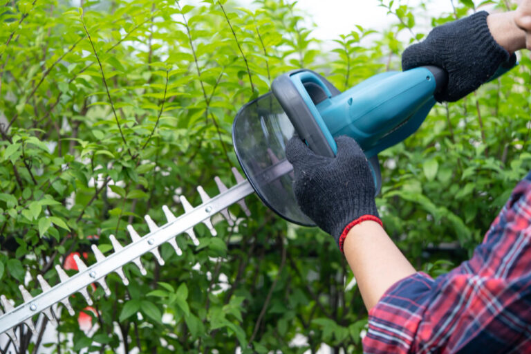 Hedge Trimming & Pruning