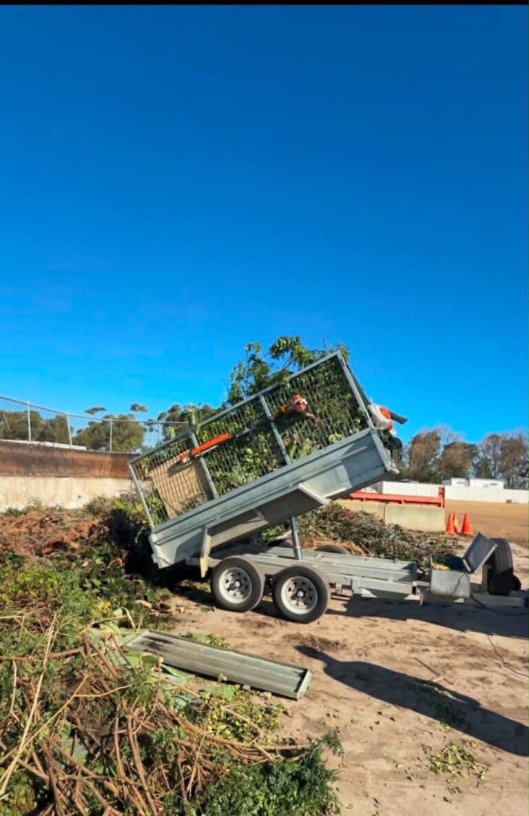 Garden Clean-Up & Rubbish Removal